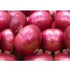 Onion 1Kg