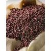 Sarso Seeds 1/2kg