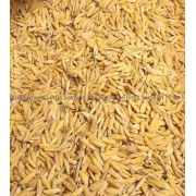 Puja Samagri- Paddy Seeds/Dhan (धान) 1kg