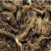 Herbs- Jatamasi/naswa (जटामसी /नस्वा) 50g