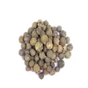 Herbs- Mahajan Fal (माहाजन फल) 50g