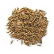 Herbs- Indra Jau (इन्द्र जौ) 200g