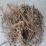 Herbs- Bhringraj (भ्रिंगराज) 10g