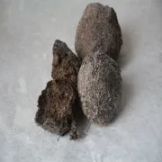 Kirana:- Shankhatro 50G
