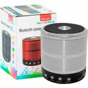 Ws-887 Mini Bluetooth Speaker