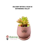 Wish Happy Birthday in Sustainable way – Happy Birthday Pot with Echevarria Succulent