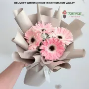 Pink Gerbera Premium Bouquet