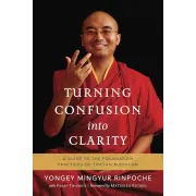Turning Confusion into Clarity