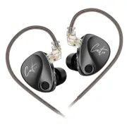 KZ Castor (Bass Edition) Dual Dynamic Driver IEM In Ear Monitors With Microphone