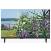 43 Inch Smart LED TV  (CG43FLS2)