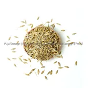 Barley Seeds/Jau (जौ)