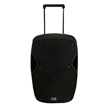12 Inch Trolley Speaker With Guitar Input