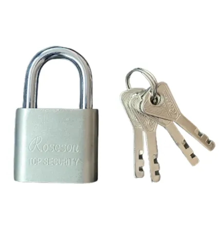Richsoon Top Security Lock 30mm Comes With 4 Keys