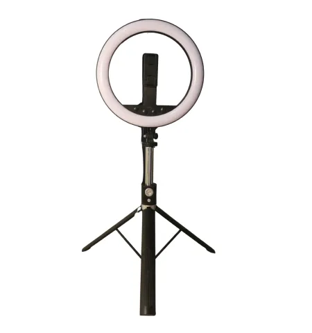 NeePho NP-L14 Ring Light & K9  Dual MIC Wireless Professional Microphone Combo