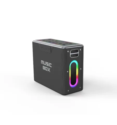 HiFuture Music Box | TWS Karaoke Bluetooth Speaker | 100W Output | Built-In-Powerbank | RGB Lighting | Portable Design |