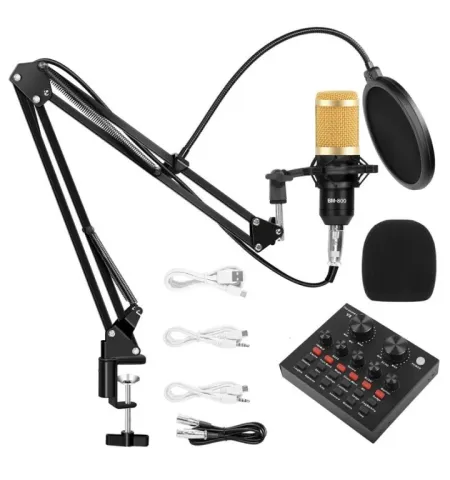BM800 Condenser Microphone Set With V8 Sound Card