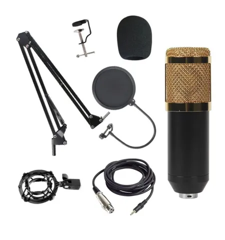BM800 Condenser Microphone Host Computer Recording Stand Large Diaphragm Live Broadcast