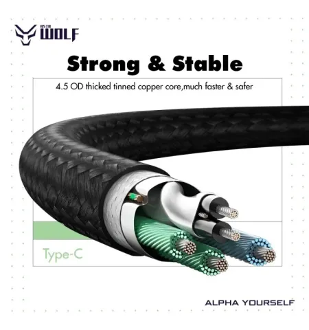 Asta WOLF Hyper Type USB To C 120 Watt 1M Braided Fast Charging Data Cable