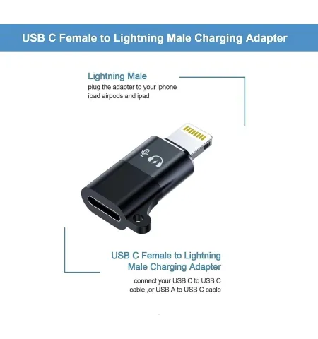 Lightning To Type C Audio Connection Adapter (1 Piece)