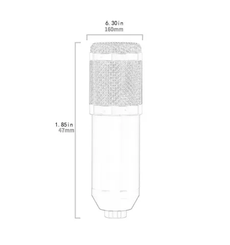 BM800 Condenser Microphone Host Computer Recording Stand Large Diaphragm Live Broadcast
