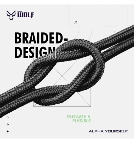 Asta WOLF Hyper Type USB To C 120 Watt 1M Braided Fast Charging Data Cable