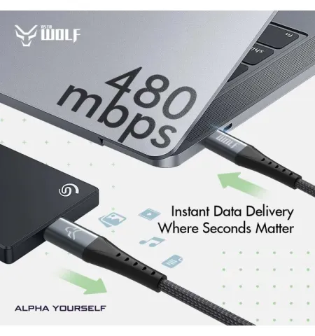 Asta WOLF Hyper Type C To C 120 Watt 1M Braided Fast Charging Data Cable
