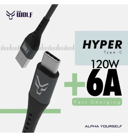 Asta WOLF Hyper Type USB To C 120 Watt 1M Braided Fast Charging Data Cable