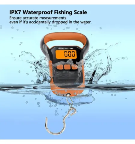 Constant Scale 50 kg With Hanging Hook