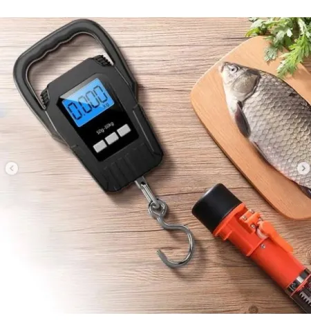 High Accuracy Electronic Scale 50Kg