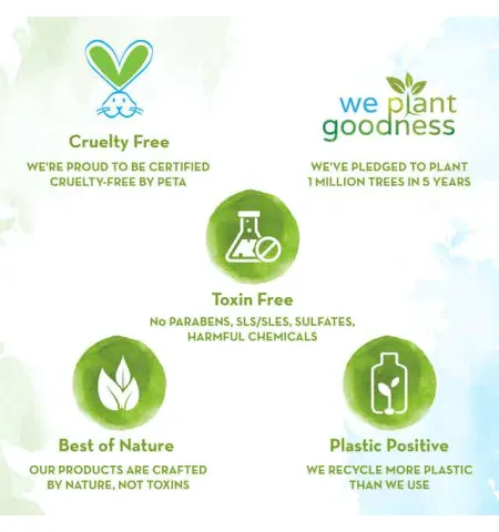Mamaearth Tea Tree Oil-Free Moisturizer For Face For Oily Skin With Tea Tree & Salicylic Acid