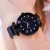 Luxury Fashion Black Starry Magnetic Casual Mesh Steel Rhinestone Watch For Women