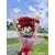 Beautiful Rose & Carnation Bouquet - 15 Stems