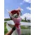 Beautiful Rose & Carnation Bouquet - 15 Stems