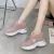 Luxurious Newborn Breathable Popular Platform Sneakers For Women's - 1FAB