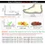 Summer Best Hiking Comfortable Waterproof Sandals ( BRAND -1 ) - Fashion | Women's Footwear | Sandals For Women | Shoes For Women |
