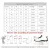New Ladies Vulcanized Shoes Classic Ladies Sneakers Comfortable Couple Shoes - Fashion | Women's Footwear |