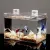 Acrylic Betta Tank Double With Dual Light Model-1810 By Crown Aquatics
