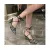 High Heels New Fashion Pearl Sequins Pointed Toe Daily Stiletto Sandals