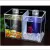 Acrylic Betta Tank Double With Dual Light Model-1810 By Crown Aquatics