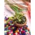 Succulent Mix Bouquet In Hand Made Clay Pot