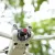 DJI Mini 3 Pro Drone Camera Lens Filter Set Kit for Mini 3 pro Optical Glass Lens Waterproof Filter Drone Accessories