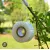 1-Inch Plant Grafting Tape Roll (Nursery Garden Use)