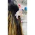Big Flower clip