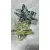 Transparent Crystal Hair Claw Clip (Butterfly Design)
