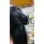 Transparent Crystal Hair Claw Clip (Butterfly Design)