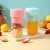 500ml Portable Blender Mug with 6 USB Rechargeable Blenders – Personal Blender for Vitamin, Smoothie and Juice, Lightweight and Compact Blender for Home, Gym and Travel
