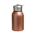 300ML Stainless Steel Mini Thermal Flask Insulated Vacuum Leakproof Portable Water Bottle With Convenient Carry Hook