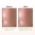 Mamaearth Rice Water Dewy Face Toner with 4% Niacinamide for Glass Skin and All Skin Types
