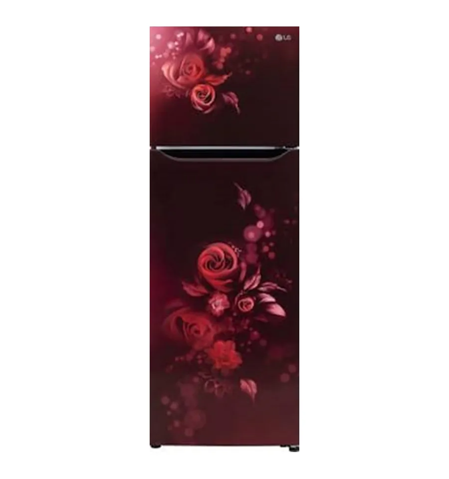 LG 287 Liter Double Door Refrigerator